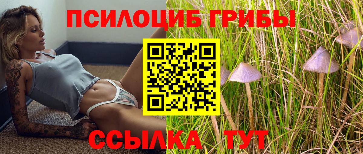 Галлюциногенные грибы Cubensis  Вход с VPN  Псилоцибиновые грибы прущие грибы  Мичуринск 