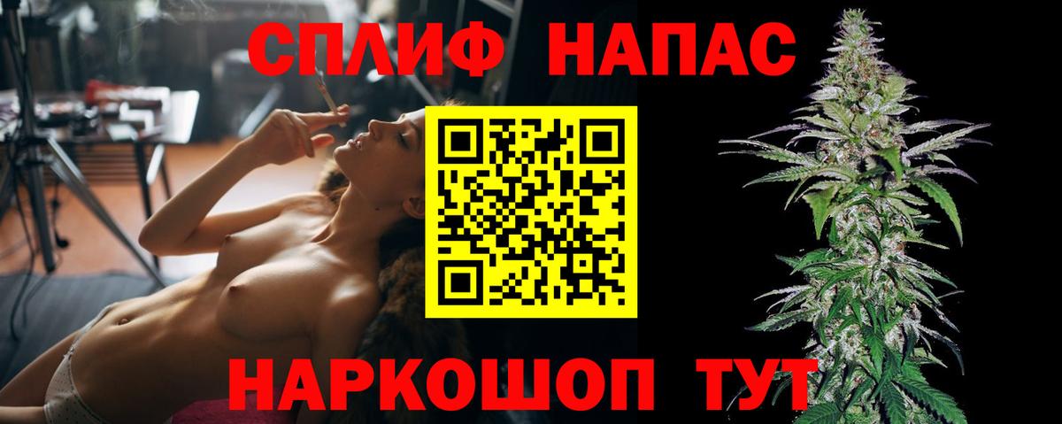 Мичуринск  Бошки марихуана семена  Конопля сатива  Марихуана VHQ  Вход с VPN  Бошки марихуана семена 